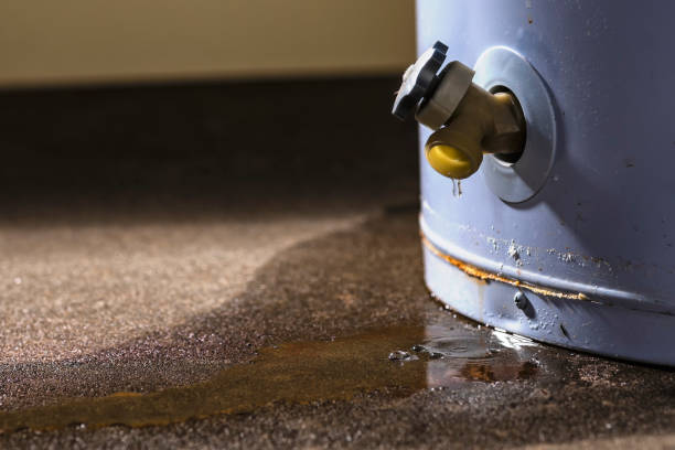 Best Commercial water damage restoration  in Pecan Grove, TX