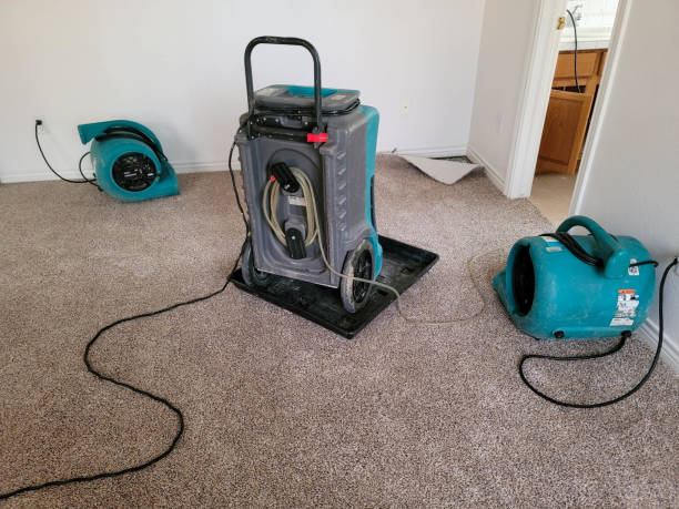 Best Basement water damage restoration  in Pecan Grove, TX