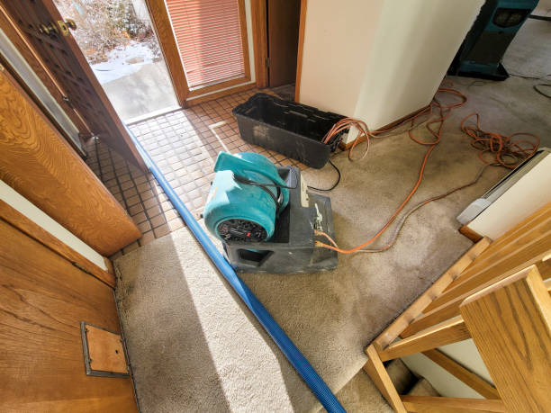 Best Residential water damage restoration  in Pecan Grove, TX