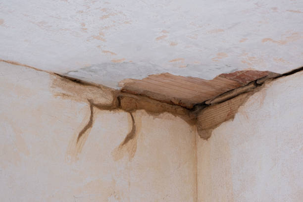 Reliable Pecan Grove, TX Water damage restoration Solutions