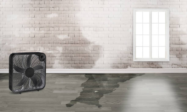 Best Emergency water damage restoration  in Pecan Grove, TX