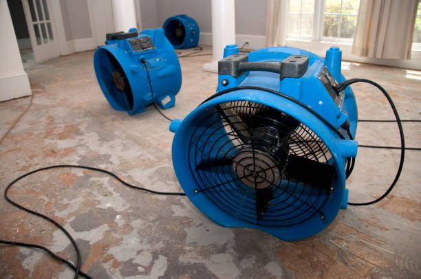 Best Ceiling water damage repair  in Pecan Grove, TX