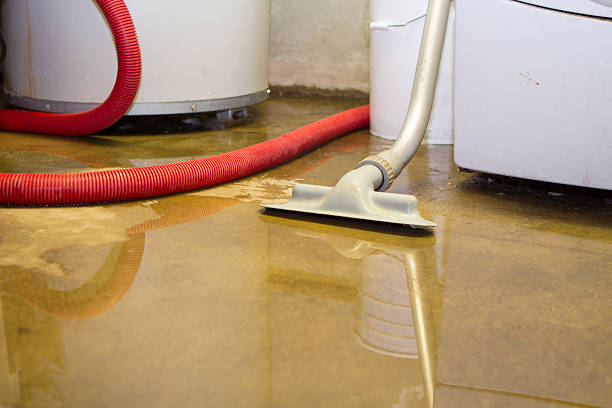 Best Fire Damage Restoration  in Pecan Grove, TX