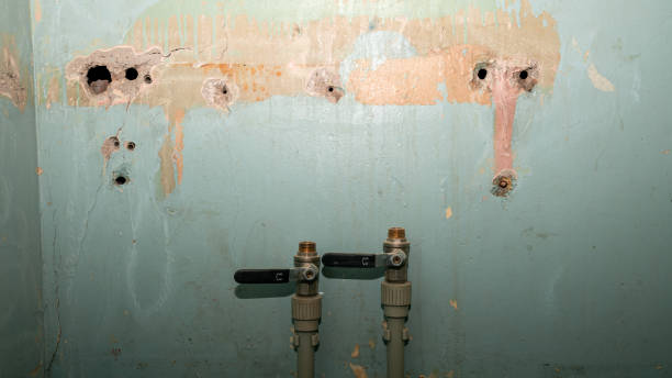 Best Professional water damage repair  in Pecan Grove, TX