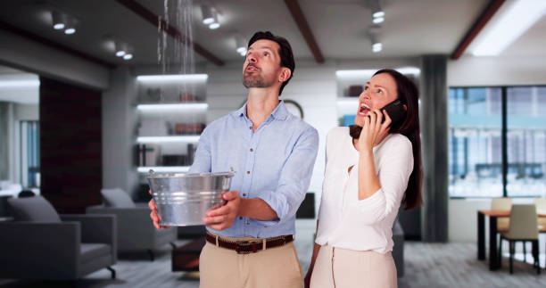 Best Flood restoration services  in Pecan Grove, TX
