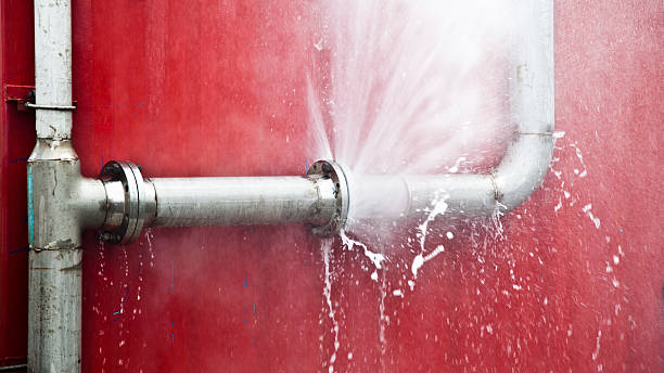 Best 24/7 water damage repair  in Pecan Grove, TX